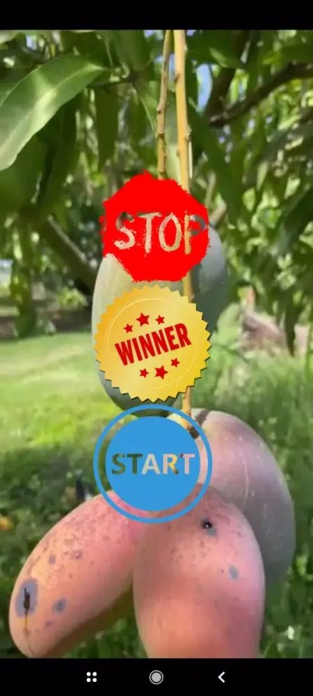 صور Mango game