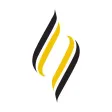 Avondale University