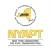 NYAPT Events