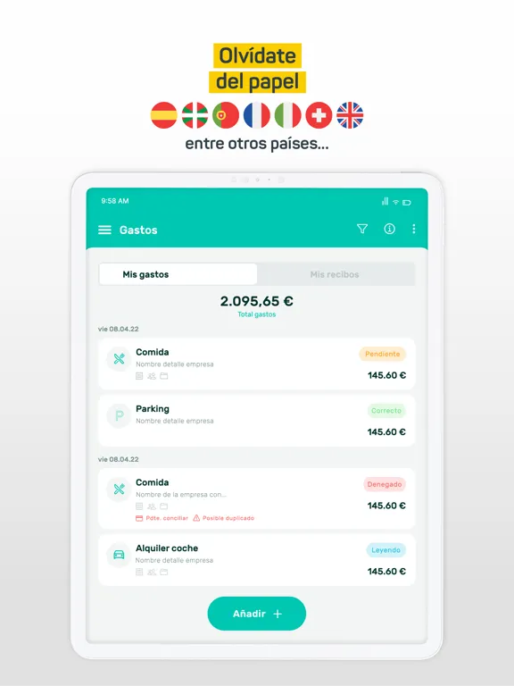 Tickelia - Notas de gastos iPad 应用截图