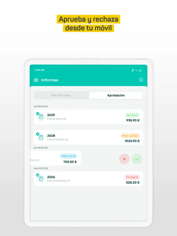 Tickelia - Notas de gastos iPad 应用截图