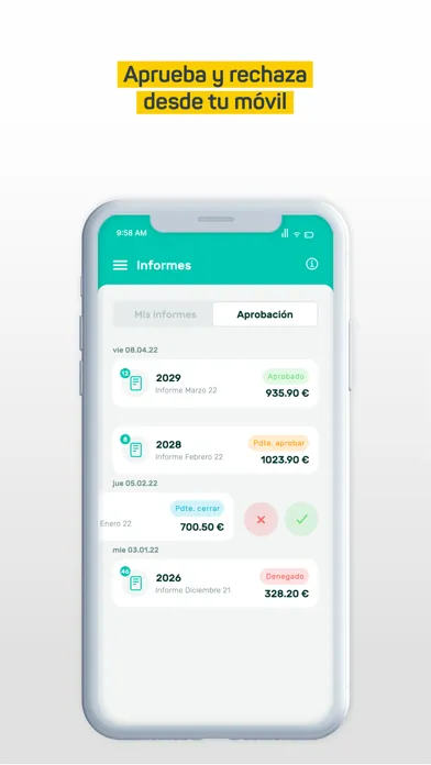 Tickelia - Notas de gastos应用截图