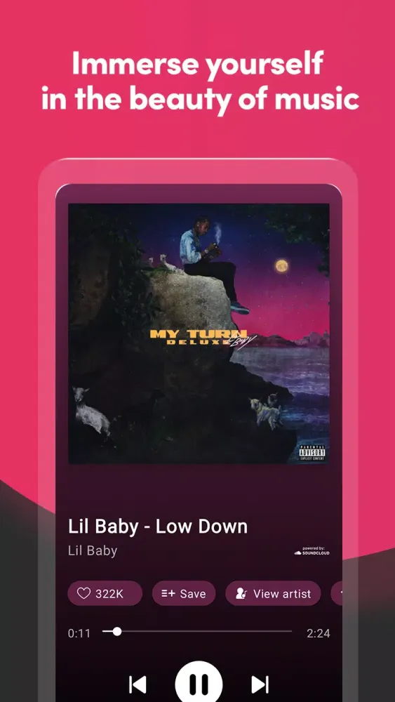 Music Stream Screenshots