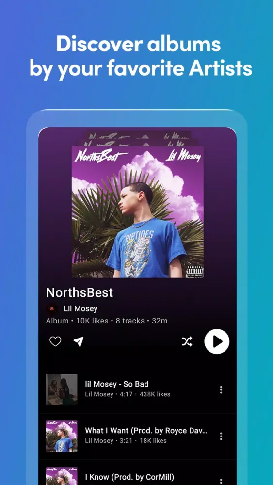 Music Stream Screenshots