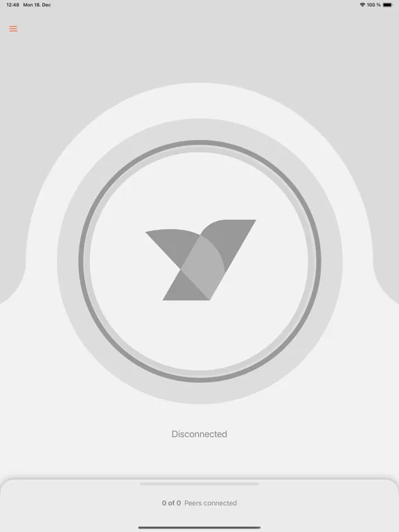 NetBird P2P VPN iPad  Screenshots