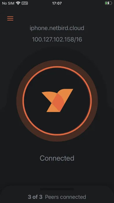 NetBird P2P VPN Screenshots