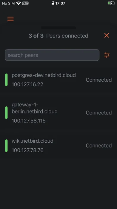 NetBird P2P VPN Screenshots