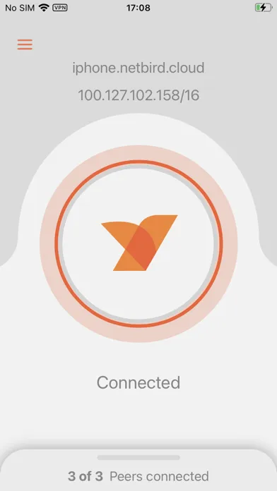 NetBird P2P VPN Screenshots