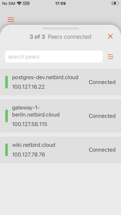 NetBird P2P VPN Screenshots
