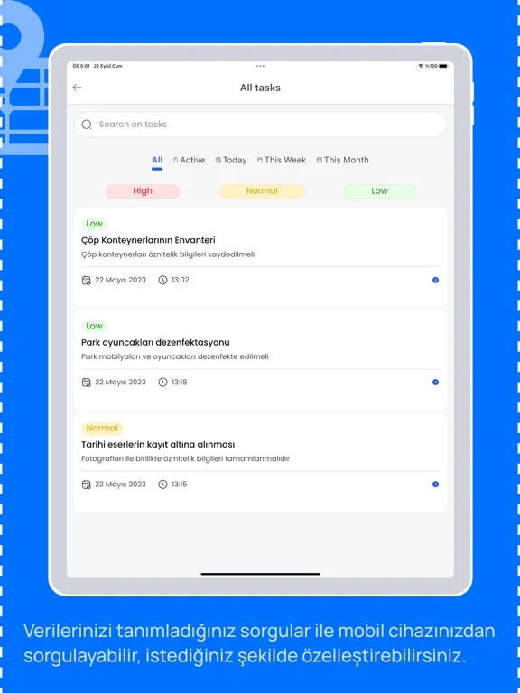 صور Netigma Mobil iPad 