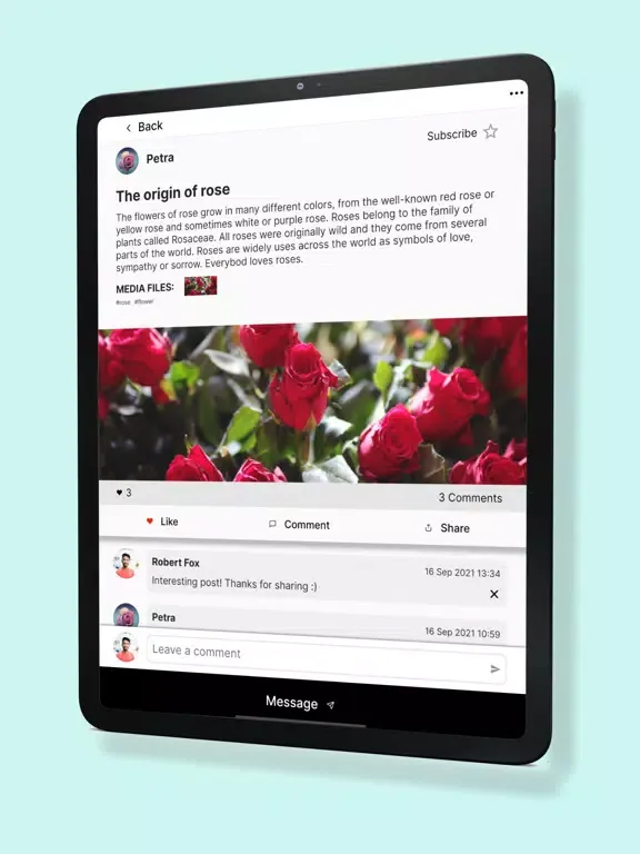 Ảnh chụp màn hình của newo.io iPad 