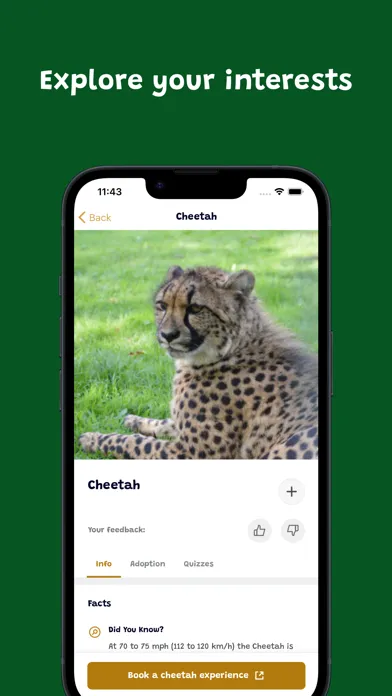 Скриншоты Wingham Wildlife Park