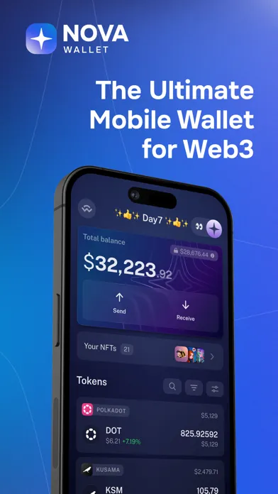 Tangkapan skrin Nova Polkadot Wallet