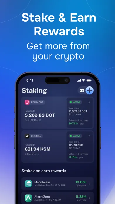 Tangkapan skrin Nova Polkadot Wallet