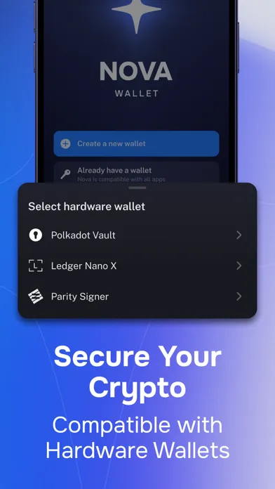 Tangkapan skrin Nova Polkadot Wallet
