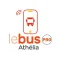 Lebus Pro Athelia