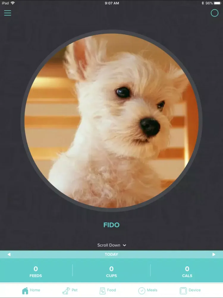 Petnet Mobile iPad  Screenshots