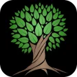 Tree of Life Palmer