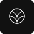 Tree of Life Church Cincinnati
