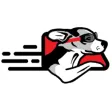 RoadDog Store Rewards RoadDog Store Rewards