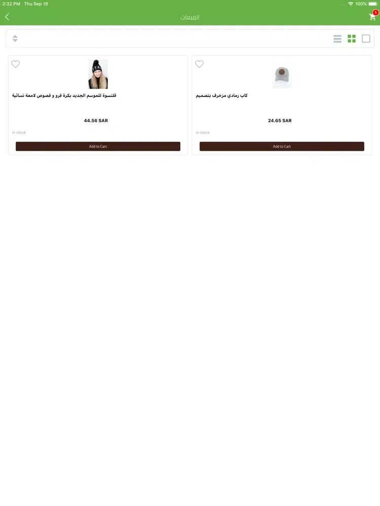 Tangkapan layar Jana Vision iPad 