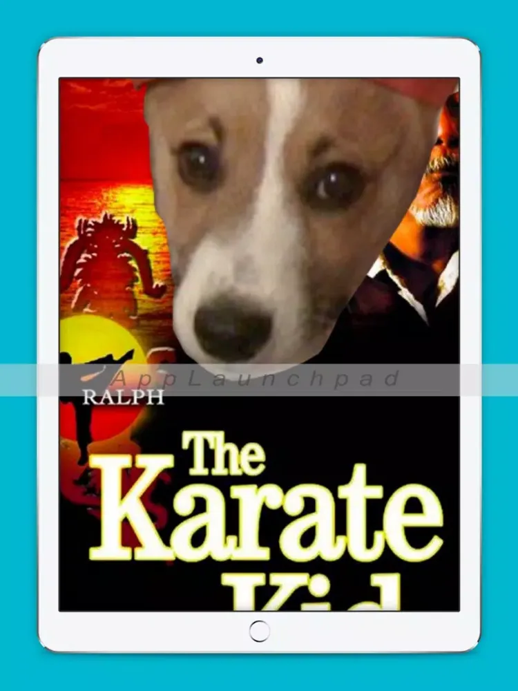 Karate Animals Gifs iPad  Screenshots