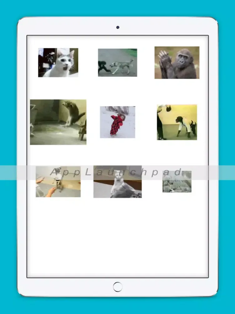 Karate Animals Gifs iPad  Screenshots