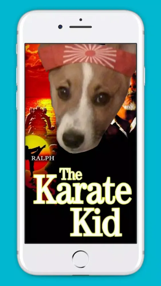 Karate Animals Gifs Screenshots