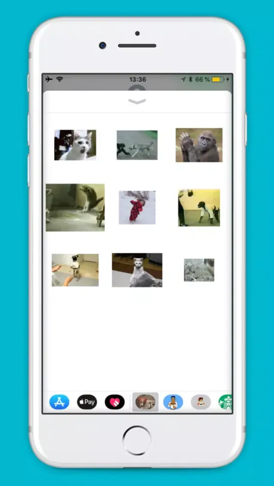 Karate Animals Gifs Screenshots