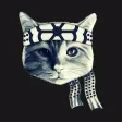 Karate Cats Gifs