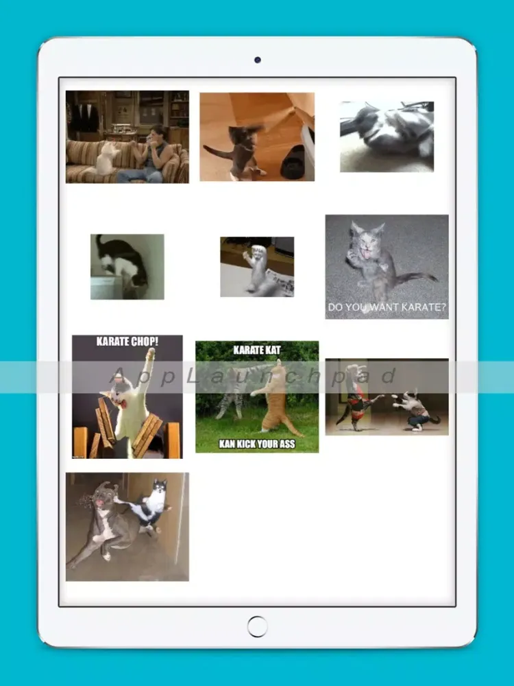 ภาพหน้าจอของ Karate Cats Gifs iPad 