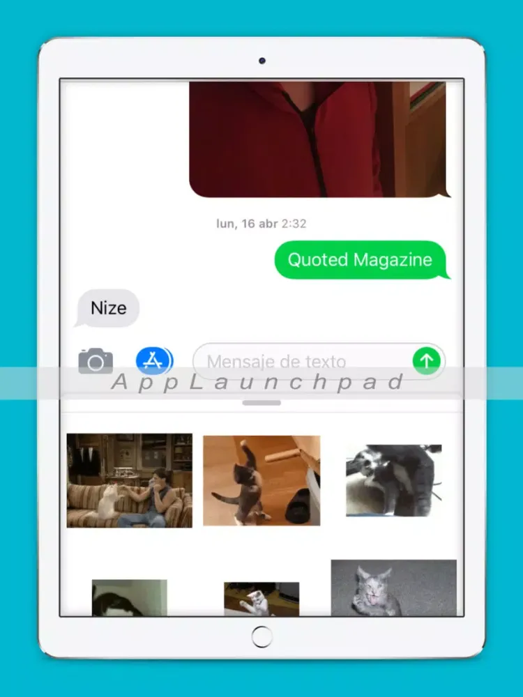 ภาพหน้าจอของ Karate Cats Gifs iPad 