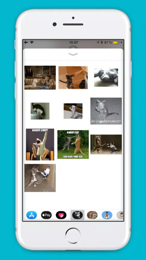 ภาพหน้าจอของ Karate Cats Gifs