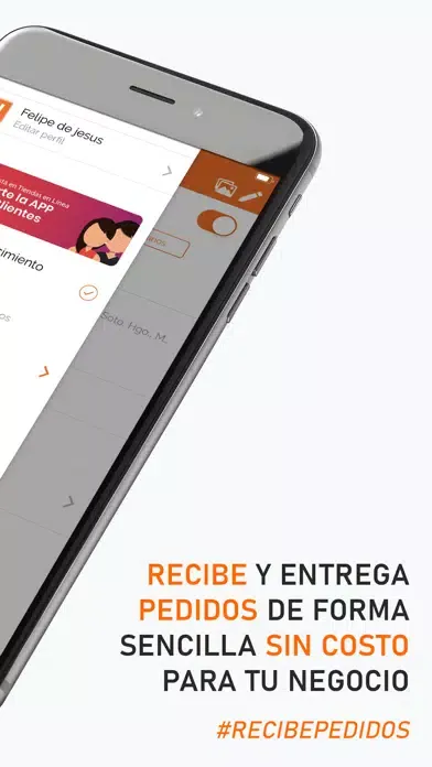 Tiendas en Línea应用截图