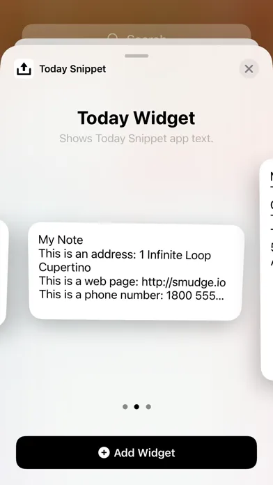 Today Snippet Widget应用截图