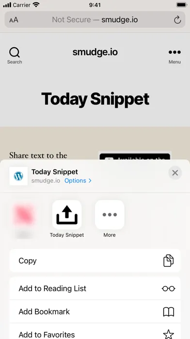 Today Snippet Widget应用截图