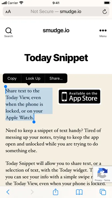 Today Snippet Widget应用截图