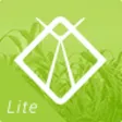 Strider Protector Lite
