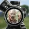 Monster Mayhem 3D