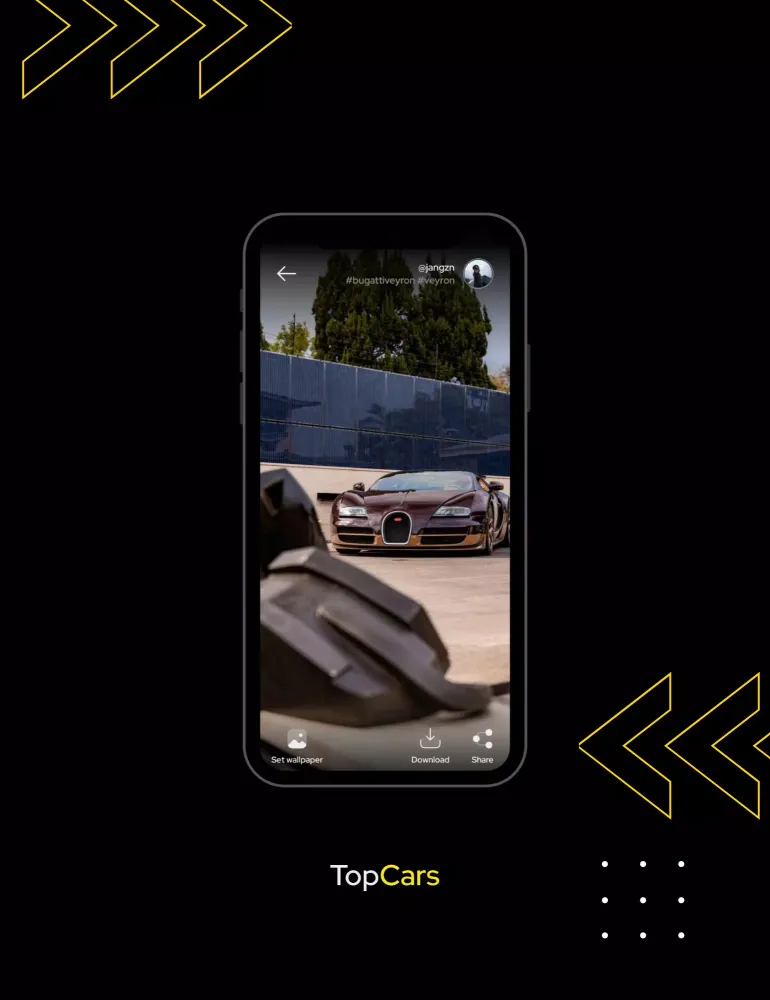 TopCars應用截圖