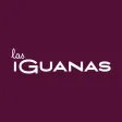 My Iguanas My Iguanas