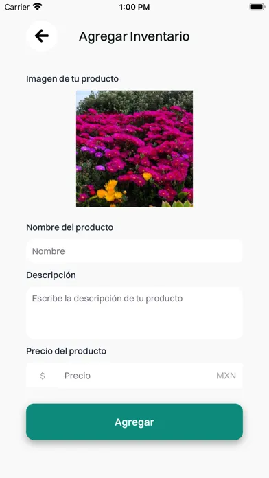 Vende Fácil MX Ekran Görüntüleri