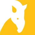 Tapir - Capture the moment and share videos