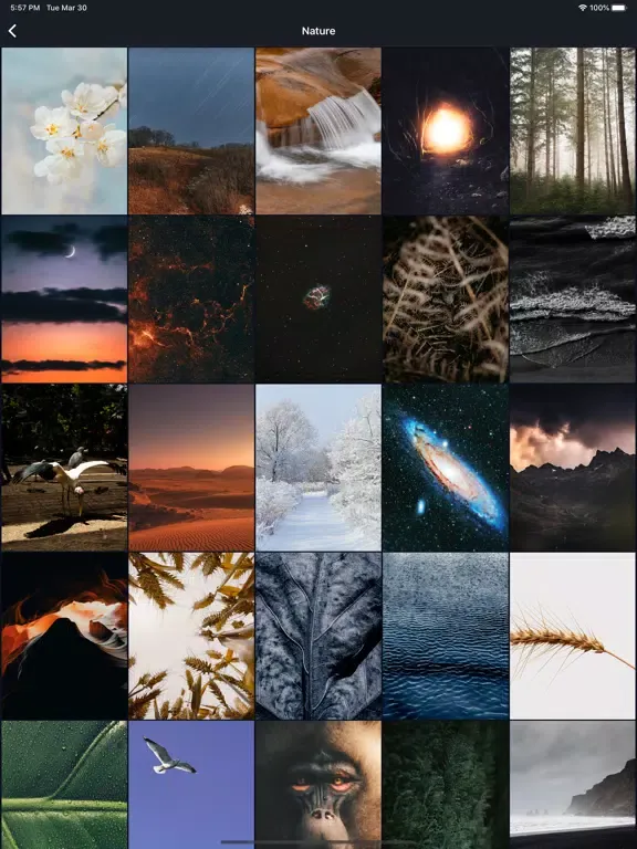 Mobile Wallpapers iPad  স্ক্রিনশট