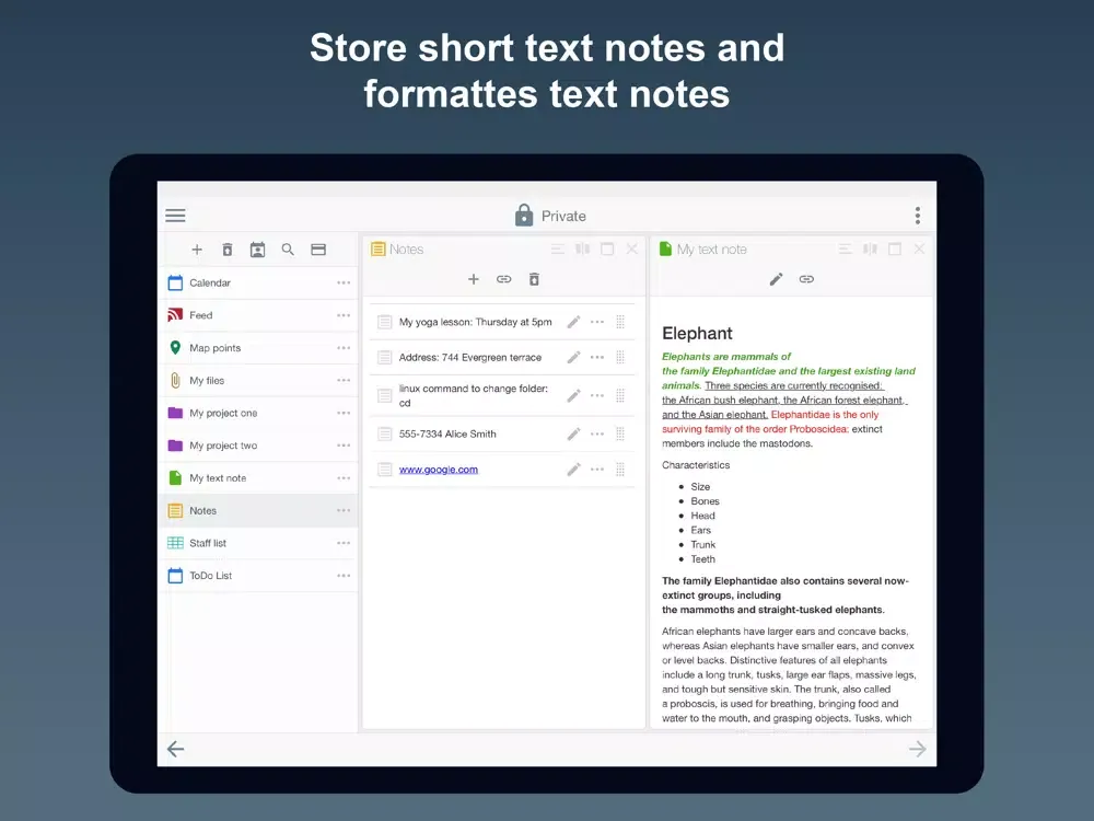 Скриншоты inspan.io iPad 