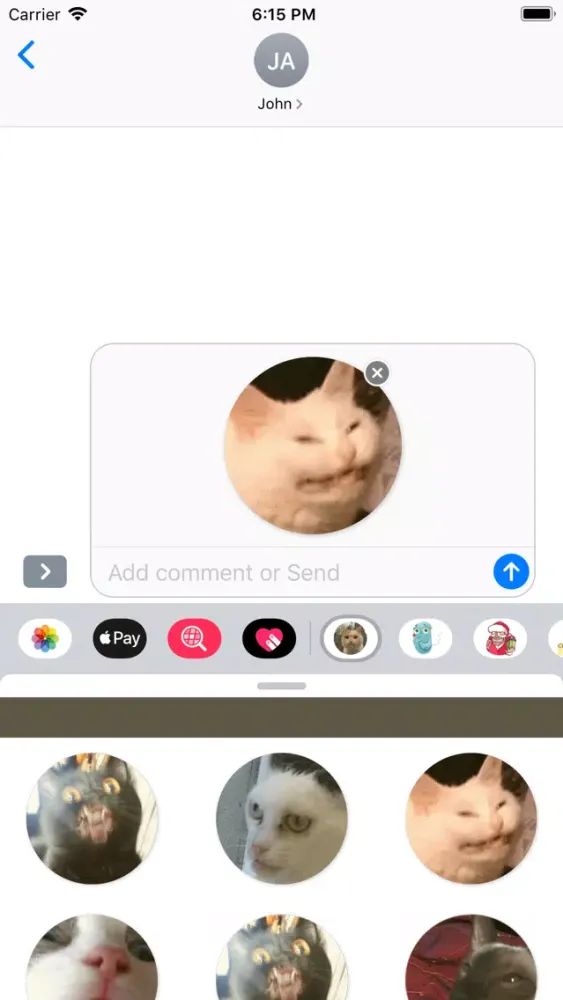 Stupid cats Stickers应用截图