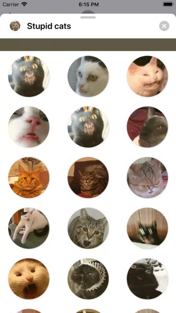 Stupid cats Stickers应用截图