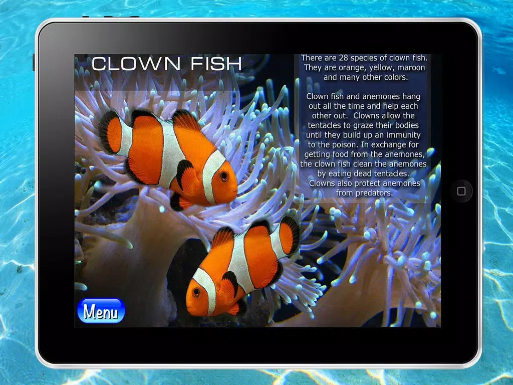 Screenshot di Ocean - The encyclopedia of the sea animals for kids and parents. Children's book and coloring games. Free version. iPad 