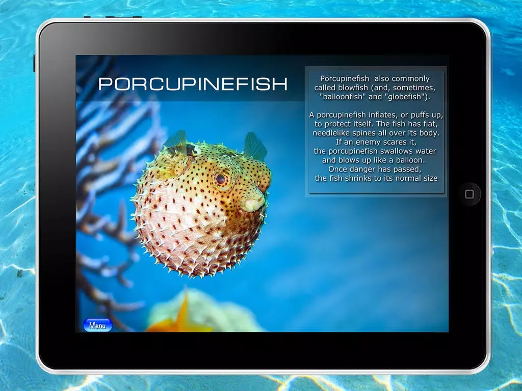 Screenshot di Ocean - The encyclopedia of the sea animals for kids and parents. Children's book and coloring games. Free version. iPad 