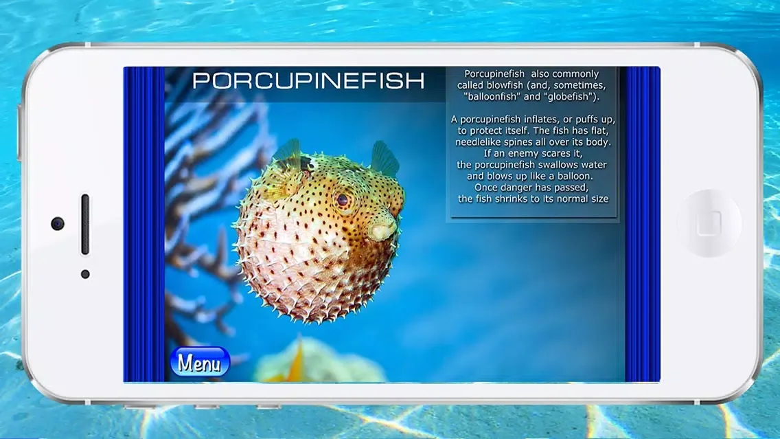 Screenshot di Ocean - The encyclopedia of the sea animals for kids and parents. Children's book and coloring games. Free version.